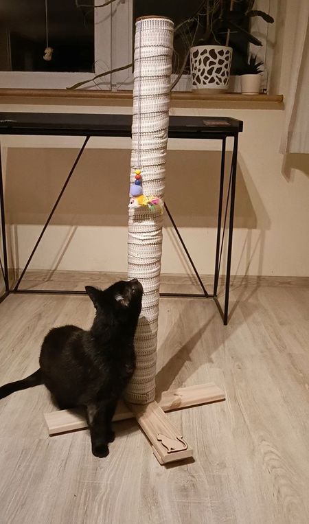 Drapak stojący, słupek 90 cm, pas parciany