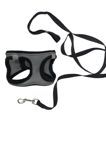 Szelki dla kota - czarne