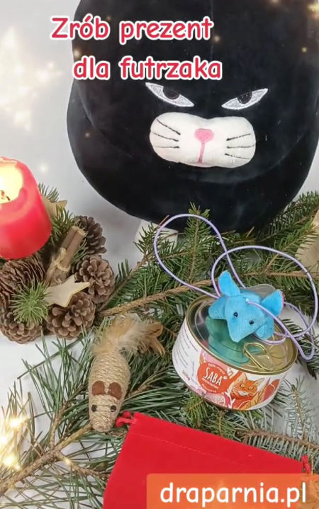 Prezent dla kota pod choinkę 